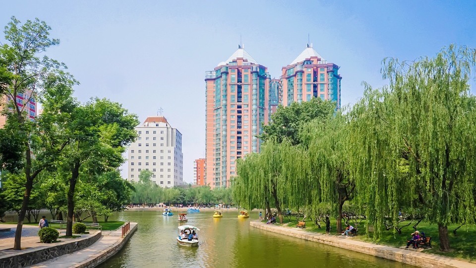 园区全景