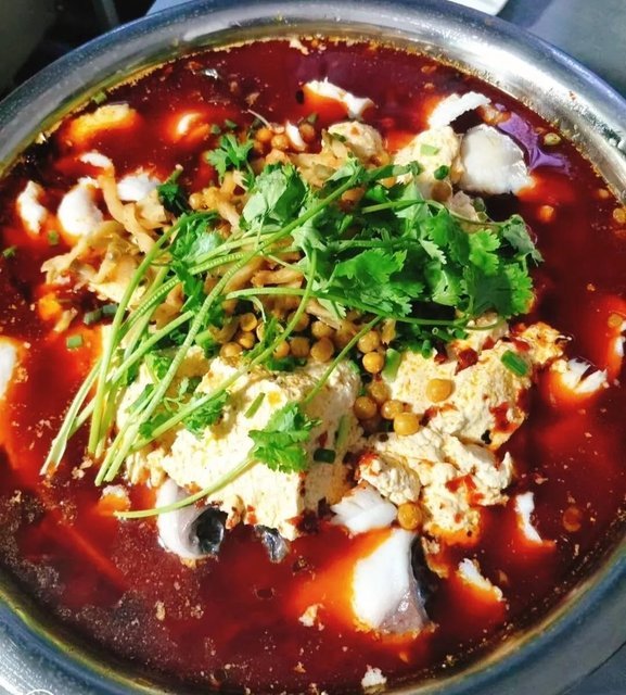 重庆正宗豆花鱼总店