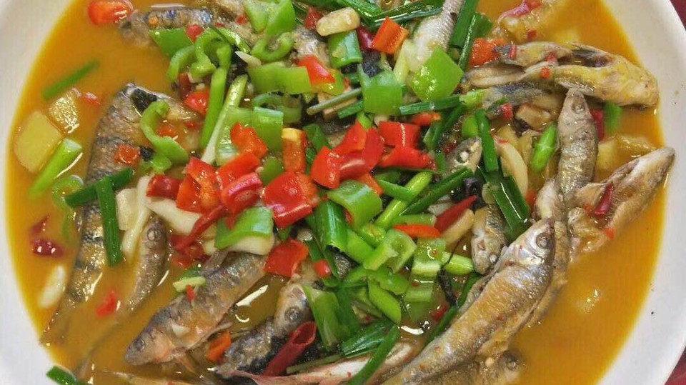 推荐菜:介绍:地址(在哪里):开元鱼馆位于嘉兴市嘉善县白水塘东路国际