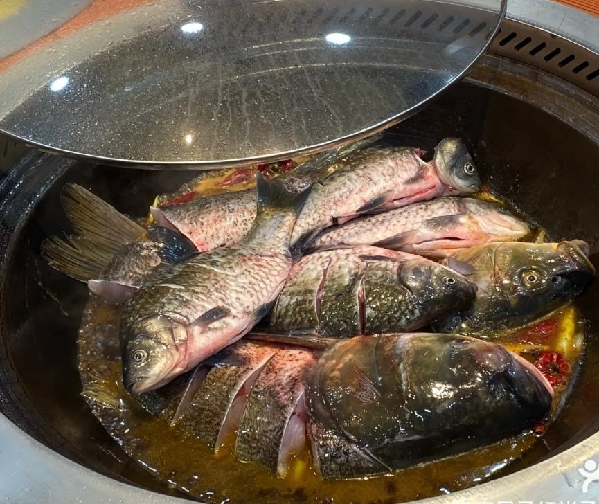 老渔翁正宗铁锅炖活鱼