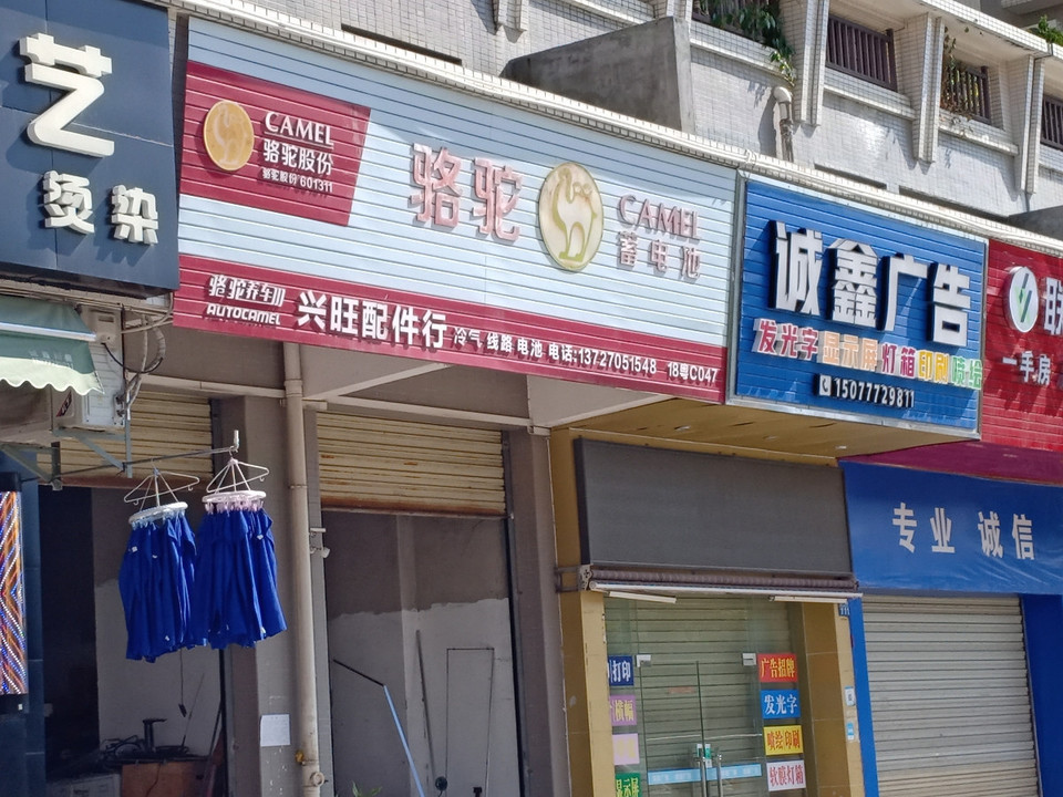 骆驼蓄电池图片