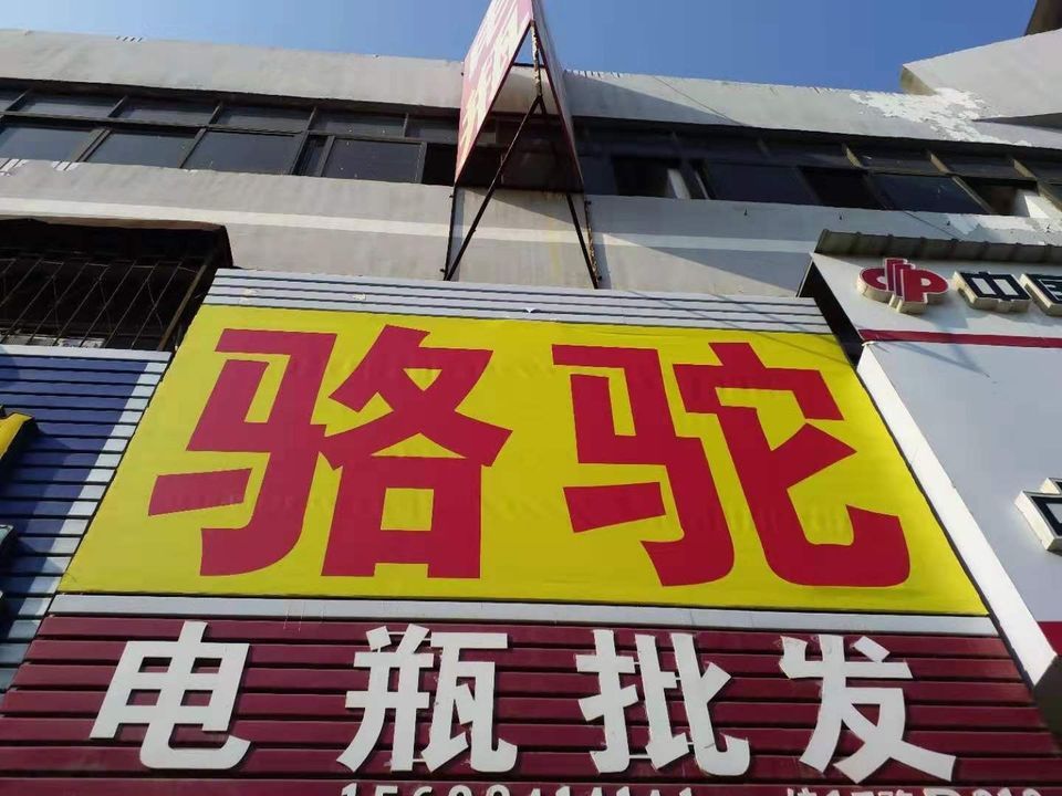 骆驼,风帆蓄电池(骆驼电瓶)图片