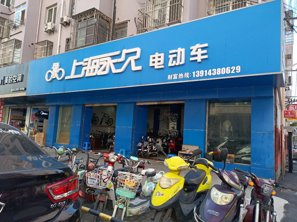 上海永久电动车(启东专卖)图片