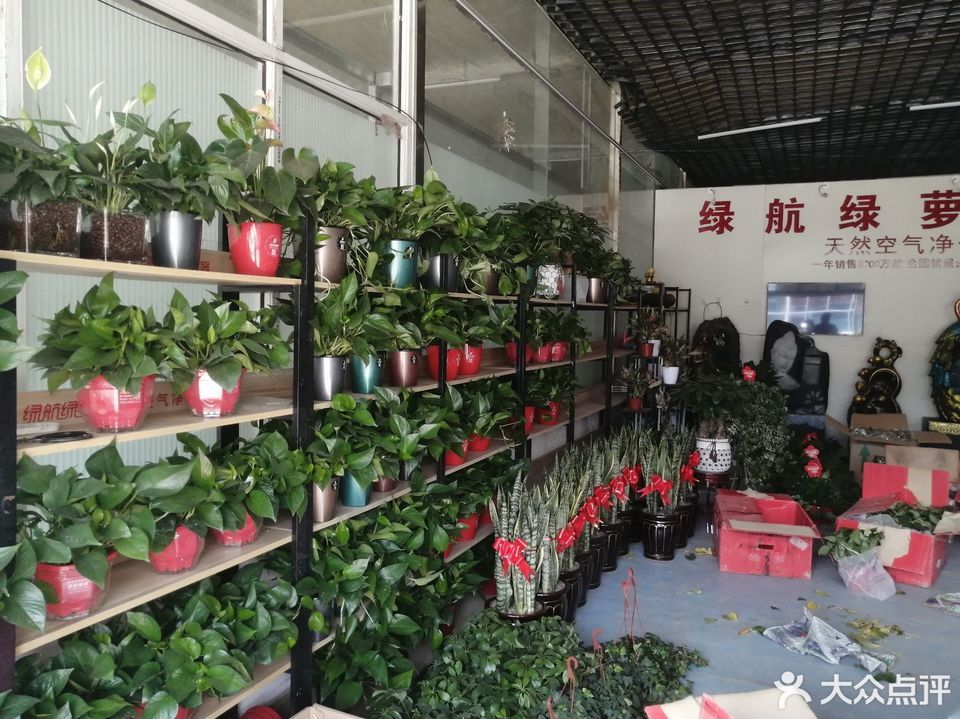 太原杨家峪花卉市场