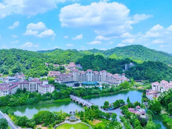 维景国际大酒店(江西明月山店)图片