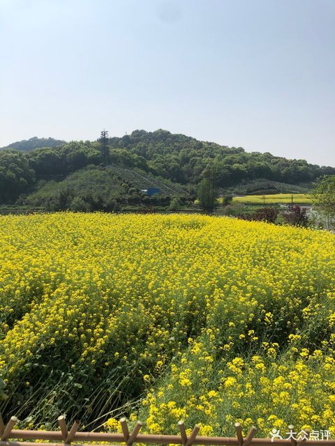 美女山生态墓地址(位置,怎么去,怎么走,在哪,在哪里,在哪儿):杭州市