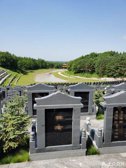 鹤岗卧龙岗公墓图片图片