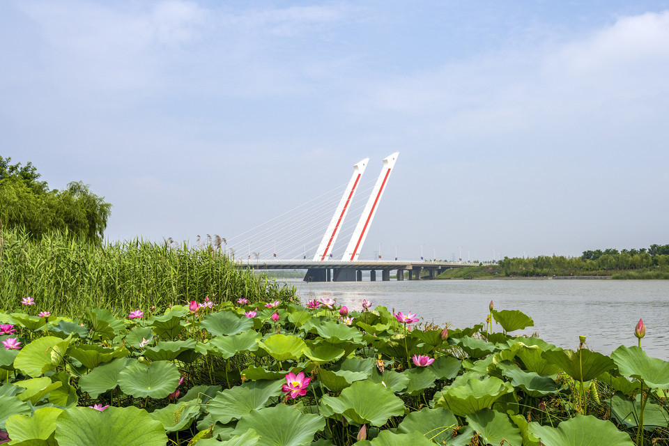 郑州高新区公园