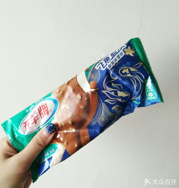 五羊飞鱼雪糕图片