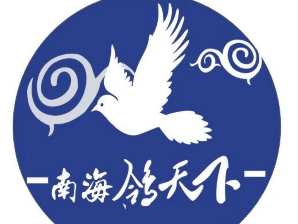 南海鸽天下图片