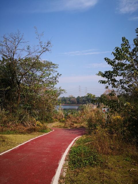 魯家灘運動公園圖片