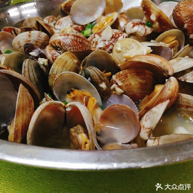 盐水桂山蚬图片