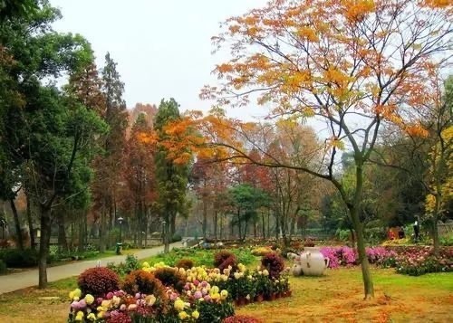 在哪,在哪裡,在哪兒):武漢市武昌區魯磨路中國科學院武漢植物園內電話