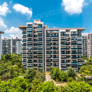 银河新都-中区图片