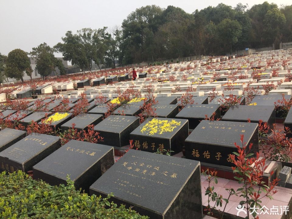石岭公墓图片