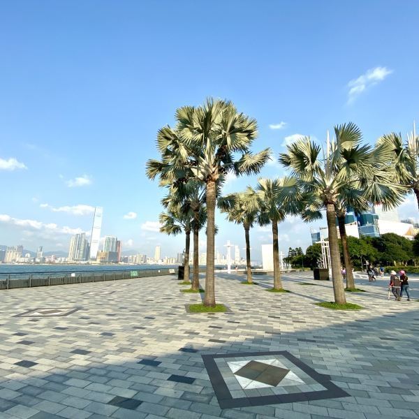 中山纪念公园