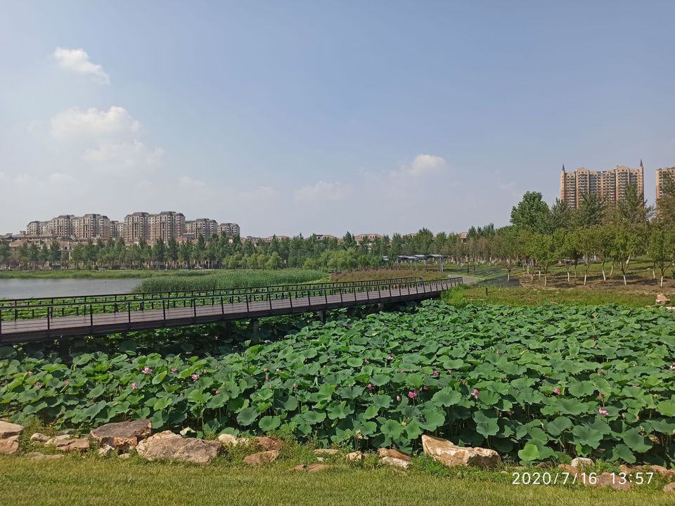 (位置,怎麼去,怎麼走,在哪,在哪裡,在哪兒):長春市南關區南四環路電話