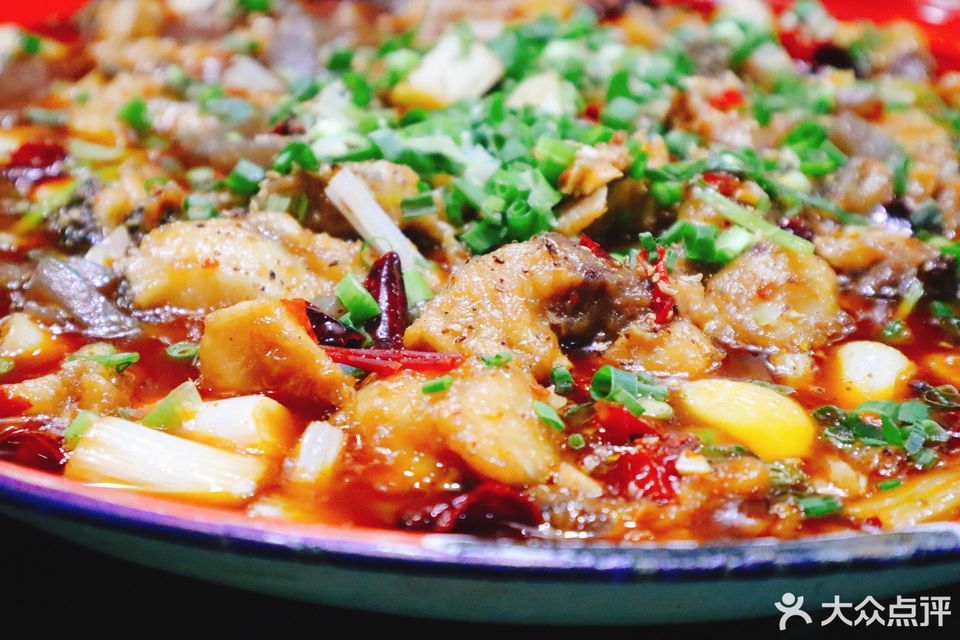 生态太安鱼图片