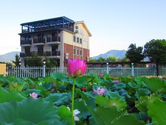 浙江安吉余村民宿