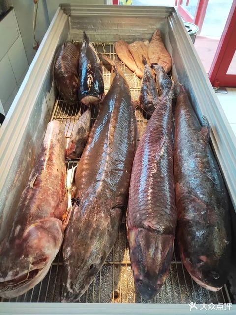 昊庭三江野生大鱼坊一店