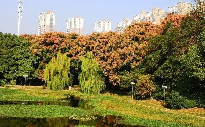 【安徽馬鞍山旅遊景點】地址,電話,路線,周邊設施_360地圖