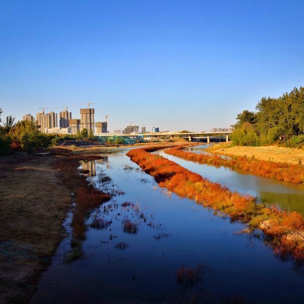 鄭州市西流湖公園