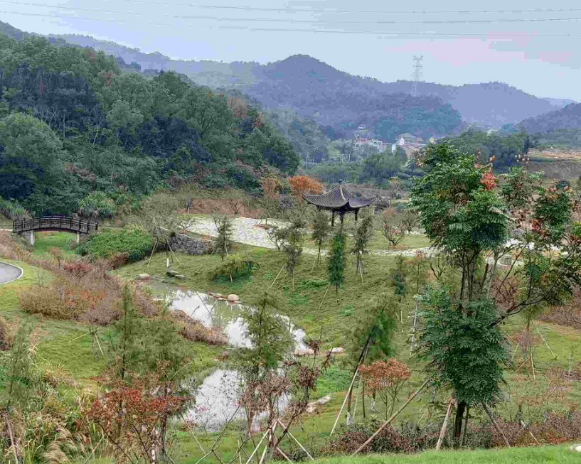 温岭植物园图片