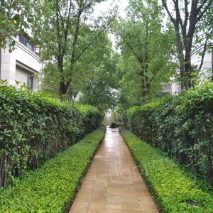 约克郡·翠微堤图片