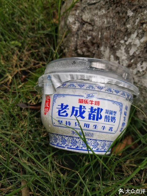 老成都酸奶图片