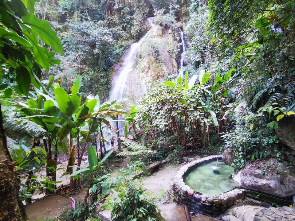 樱花谷风景区