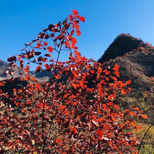 舞彩浅山滨水国家登山步道图片