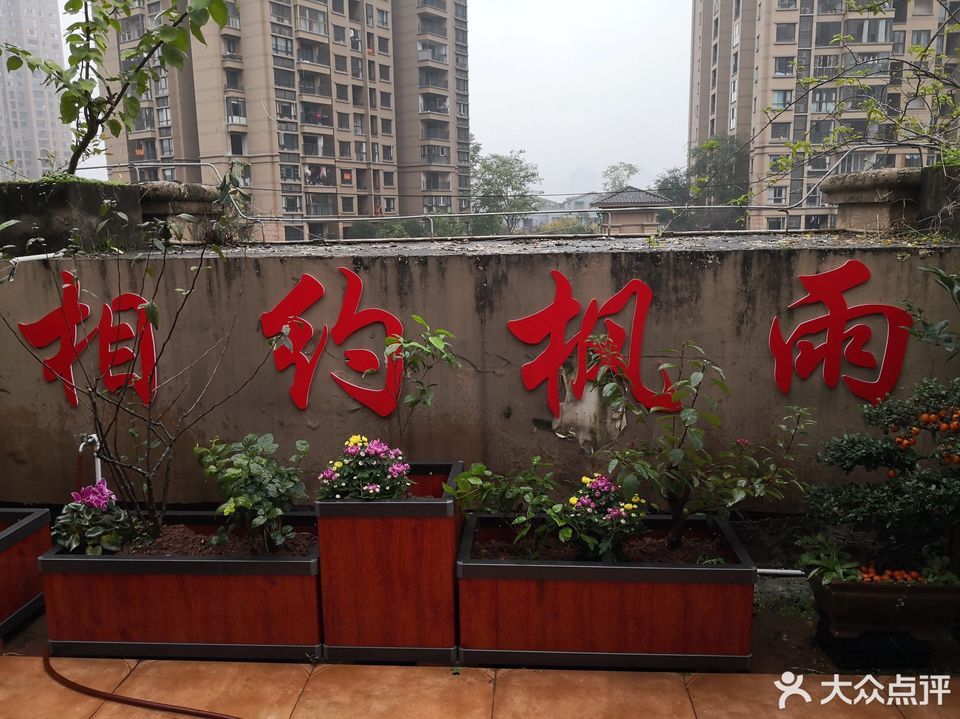 枫雨茶楼