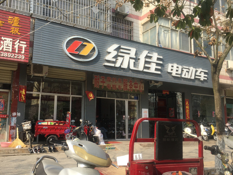 绿佳电动车(光山店)图片