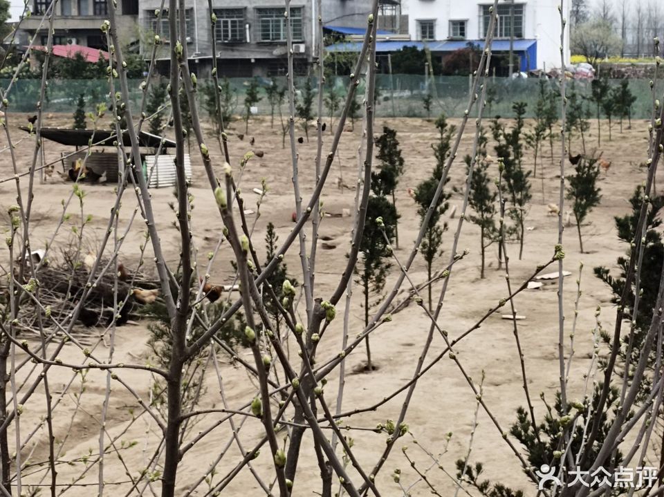 大通湖大闸蟹(银河路)