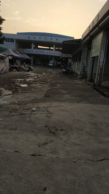 怎么去,怎么走,在哪,在哪里,在哪儿):中山市横栏镇三沙村委会附近