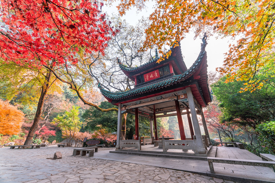 岳麓山高科技园