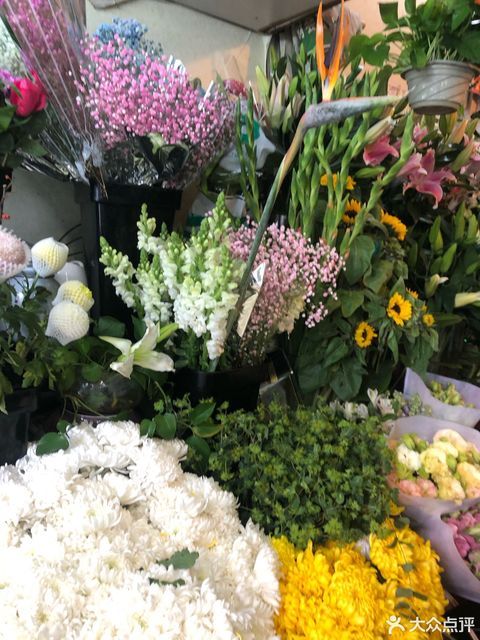 西安凤城二路花卉市场图片