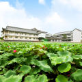 瘦西湖度假村图片
