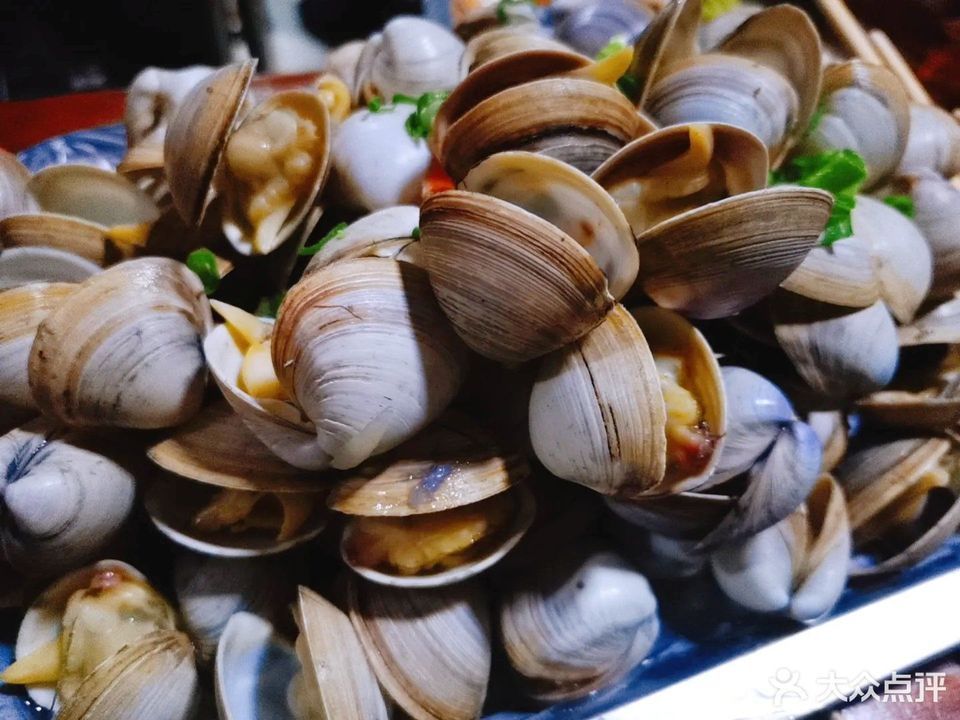 铁板白蛤图片