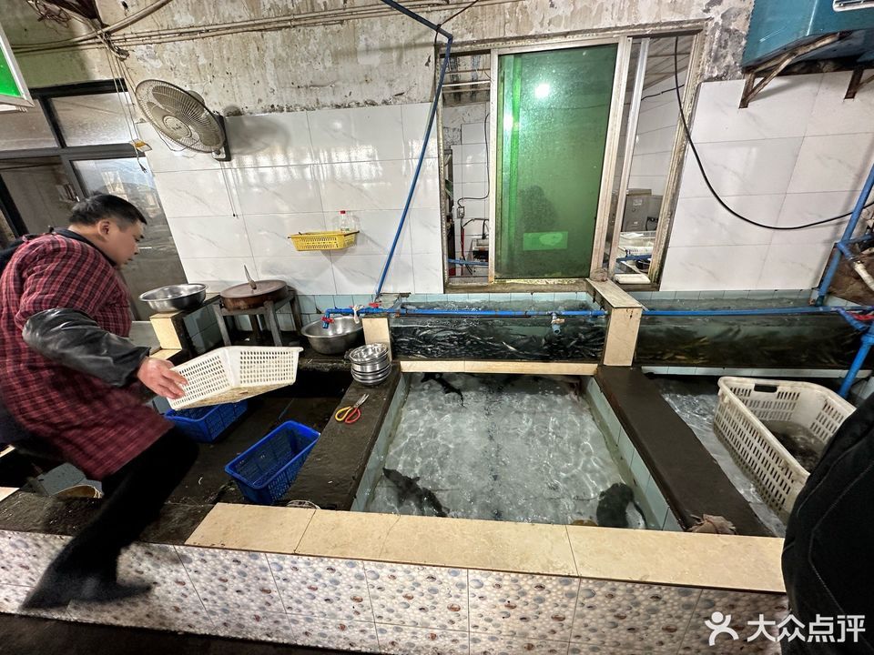 四季渔歌自助生态鱼火锅图片