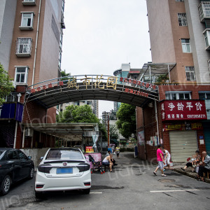 阳光花园三期城市花园图片