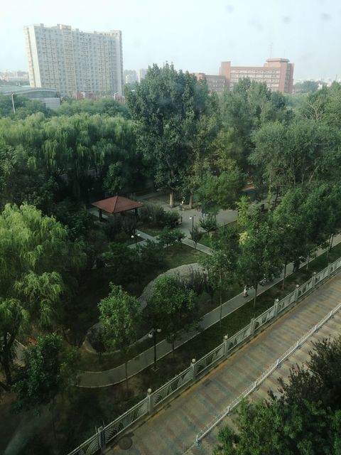 珠江绿洲文化广场图片