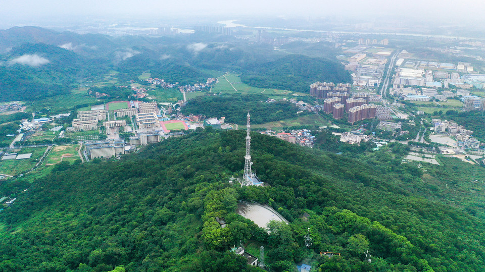 蕉石岭森林公园图片