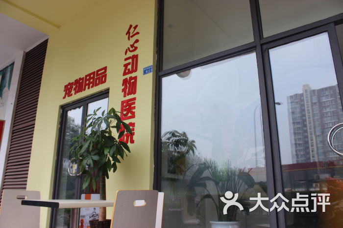 成华区仁心动物医院图片