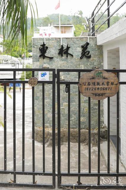 深圳东林苑精品客栈图片