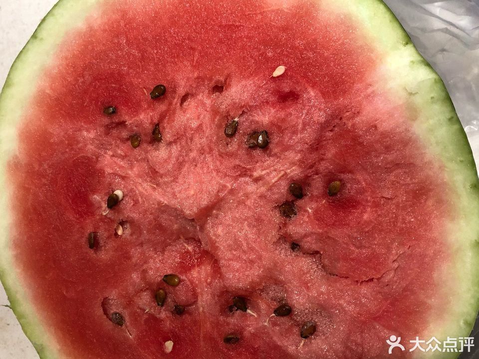 新疆石缝瓜图片