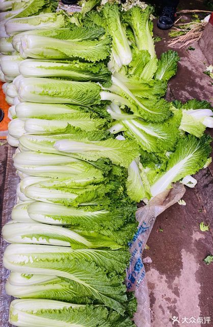 推荐菜:介绍:地址(在哪里):宏旺综合农贸市场位于凉山彝族自治州冕宁