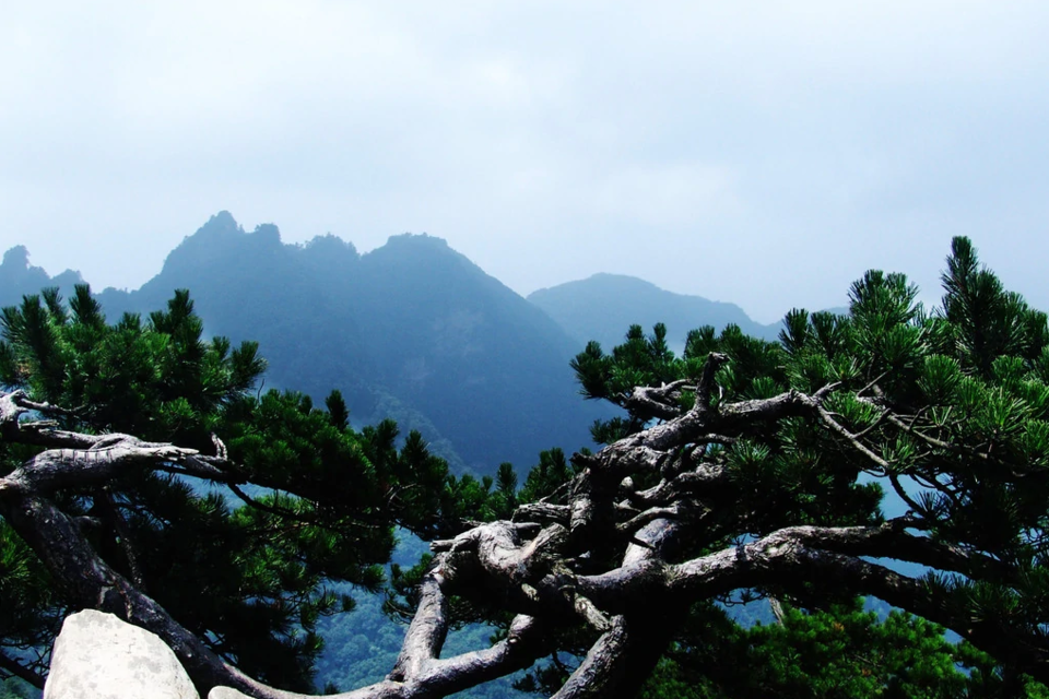 伏龙山景区图片