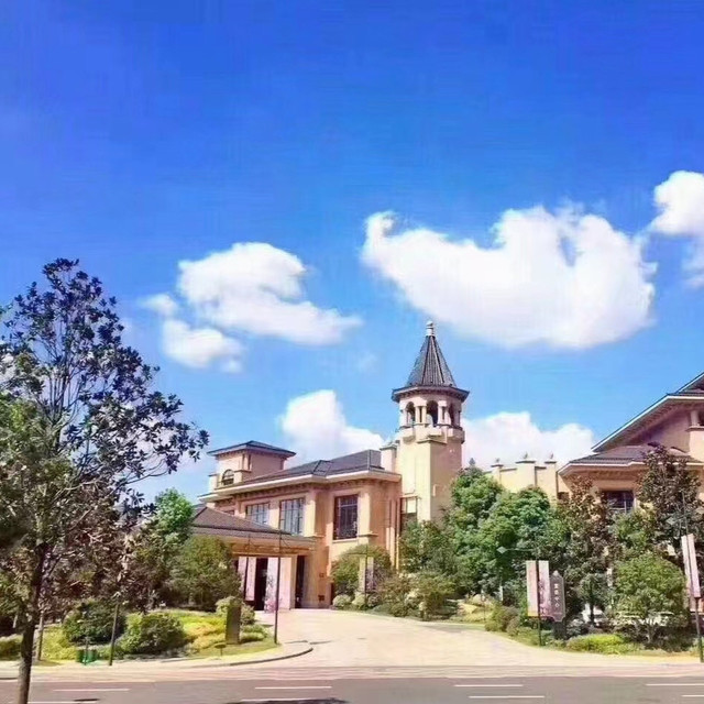 南京雅居乐御锦天酒店·宴会厅图片