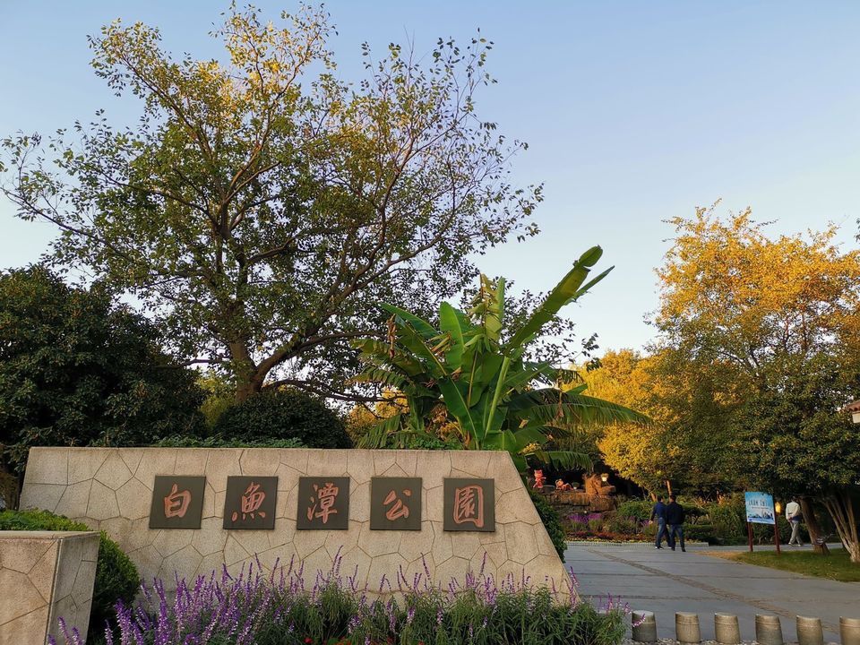 白鱼潭公园图片